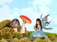 中体竞赛管理有限公司北京分公司