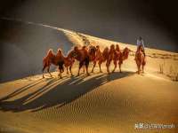 中体竞赛管理有限公司北京分公司