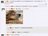 中体竞赛管理有限公司北京分公司