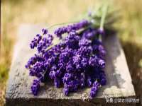 中体竞赛管理有限公司北京分公司