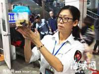 中体竞赛管理有限公司北京分公司