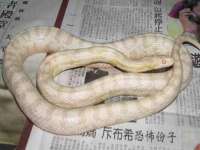 中体竞赛管理有限公司北京分公司