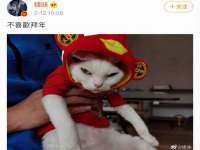 中体竞赛管理有限公司北京分公司
