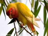 中体竞赛管理有限公司北京分公司