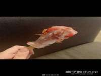 中体竞赛管理有限公司北京分公司