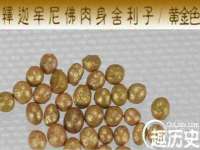 中体竞赛管理有限公司北京分公司